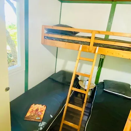 Mobil Avec Animaux Ok - 5 Pers. - Api-1-52-2475 Campingplatz Camon (Languedoc-Roussillon)
