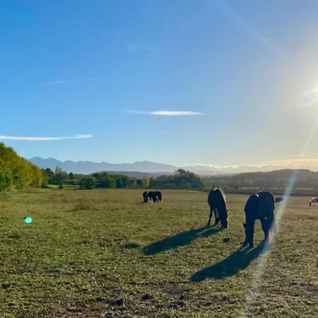 Mobil Avec Animaux Ok - 5 Pers. - Api-1-52-2475 Campingplatz Camon (Languedoc-Roussillon)